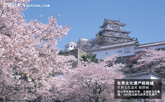 兵库县
