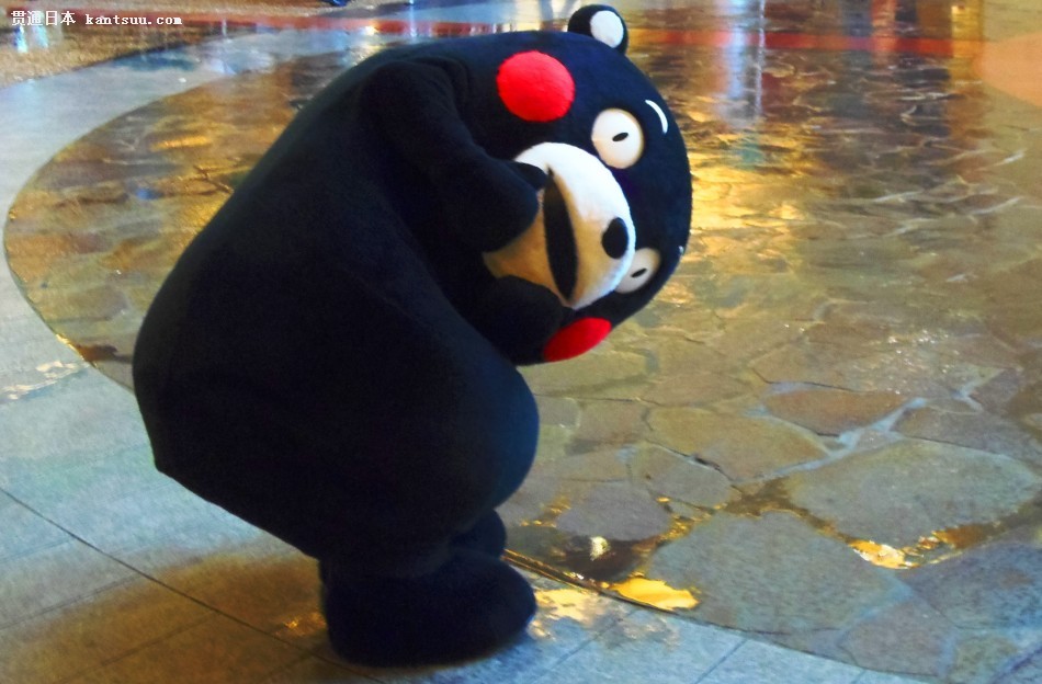 熊本熊在日本地震后停止更新Twitter
